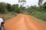 Les travaux prennent du rythme sur les routes SOA-ESSE-AWAE, Maroua-Bogo et Ekondo Titi-Kumba